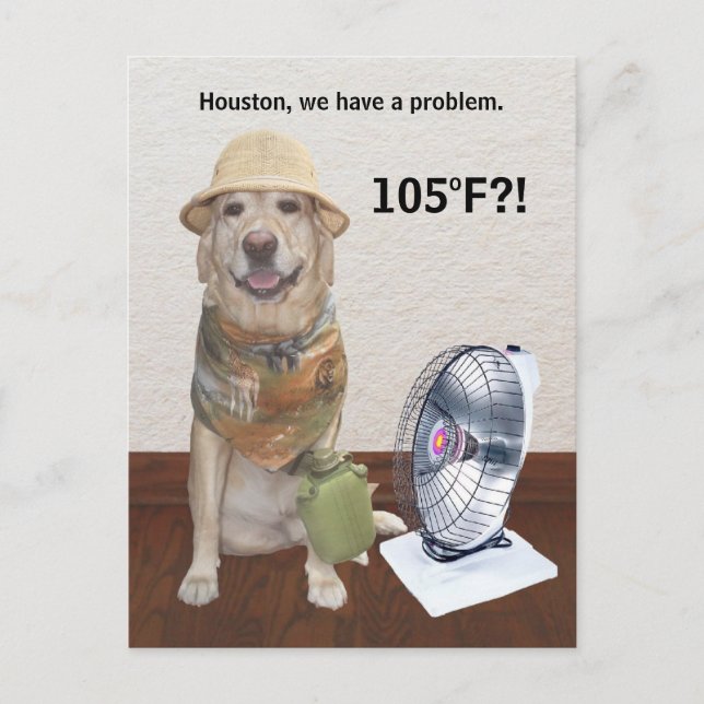 105 F?! POSTCARD (Front)