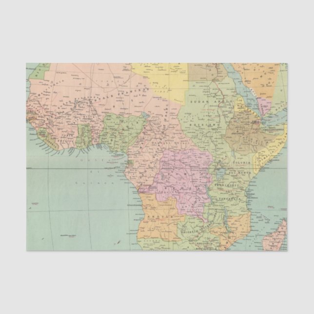 10708 Africa policy Tissue Paper (Front)