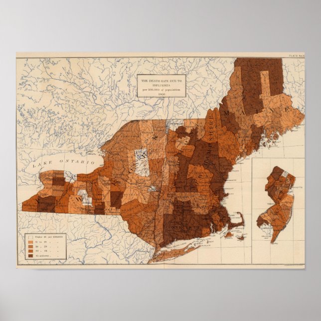 107 Influenza NY, NJ, New England Poster (Front)