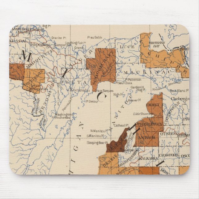 108 Influenza Michigan Mouse Pad (Front)