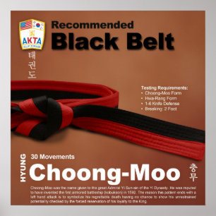 10-11 Recommended Black Belt Do-jang Poster