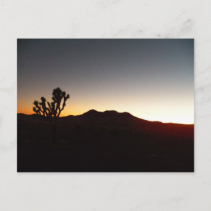 10/12/11 Sunset Postcard