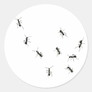 10 ants classic round sticker