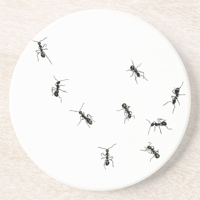 10 ants coaster (Front)