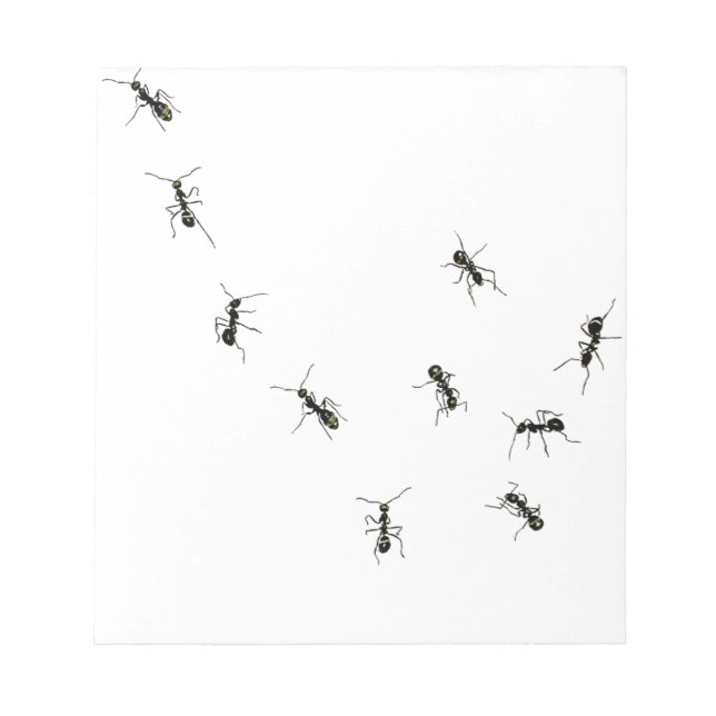 10 ants notepad (Front)