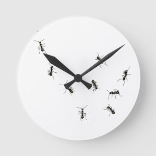 10 ants round clock