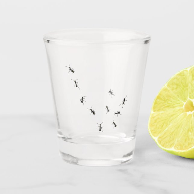 10 ants shot glass (Front)