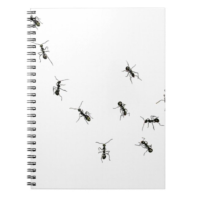 10 ants spiral notebook (Front)