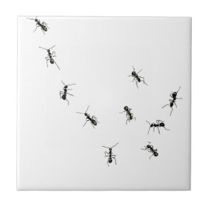 10 ants tile