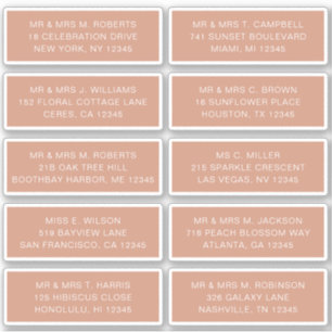 10 Individual Guest Name Address Party Wedding