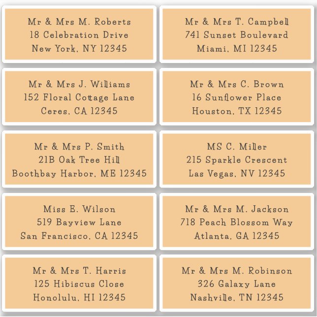 10 Individual Guest Name Address Party Wedding (Front)