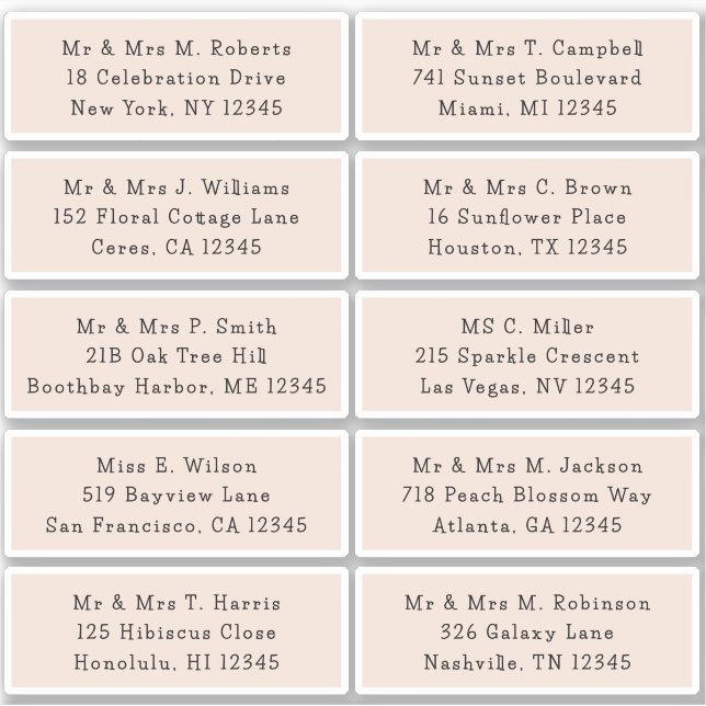 10 Individual Guest Name Address Party Wedding (Front)