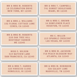 10 Individual Guest Name Address Party Wedding