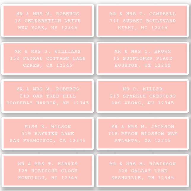 10 Individual Guest Name Address Party Wedding Sti (Front)