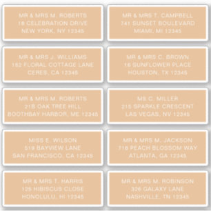 10 Individual Guest Name Address Party Wedding Sti