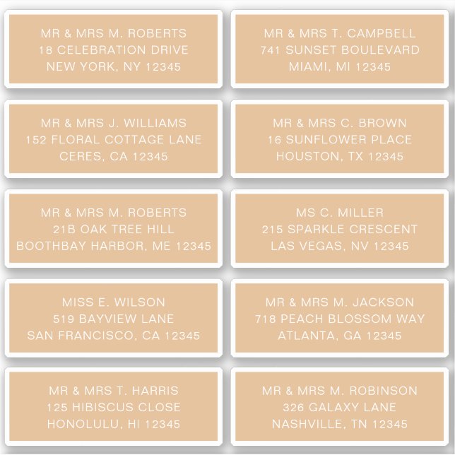 10 Individual Guest Name Address Party Wedding Sti (Front)