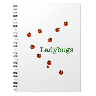 10 ladybugs notebook