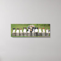 10 Little Papillons