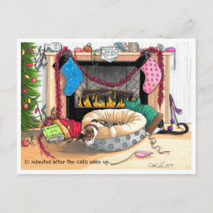 10 Minutes After the Cats Wake up Postcard