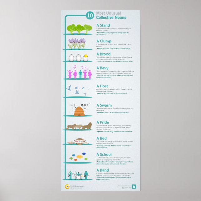 10 Most Unusual Collective Nouns Revealed and Expl Poster (Front)
