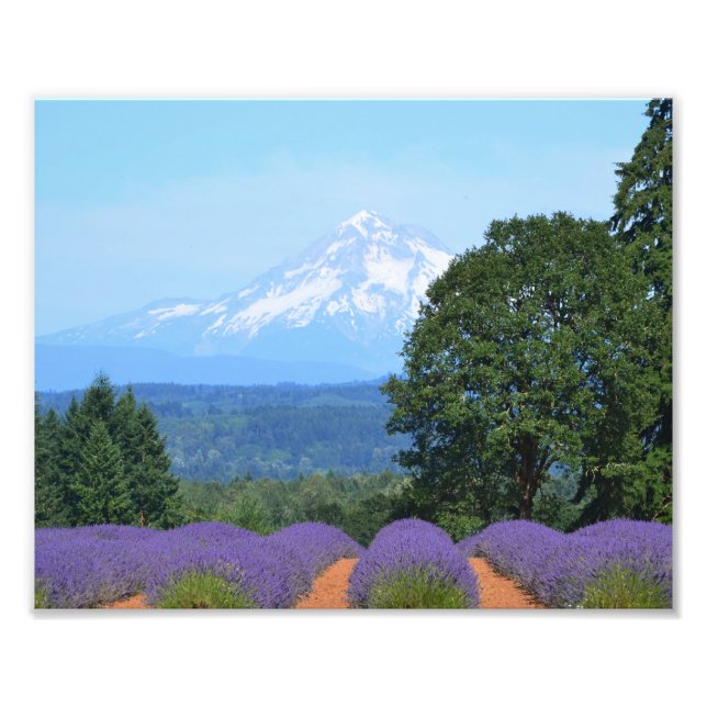 10" x 8", Kodak Professional Photo Paper (Satin) (Front)