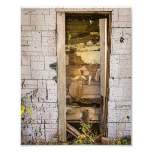 10" x 8", Kodak Professional Photo Paper (Satin)