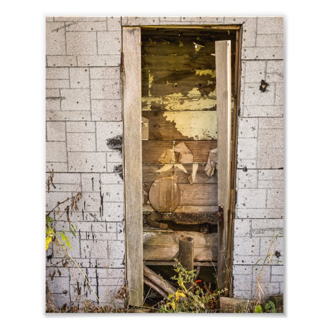 10" x 8", Kodak Professional Photo Paper (Satin) Print (Front)