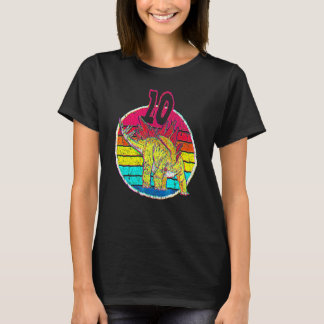 10th Birthday I Stegosaurus Stenops I Family Match T-Shirt