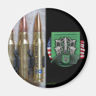 10th special forces group flash crest iraq vets m magnet