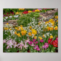 10x8 Colourful Spring Flowers in full bloom