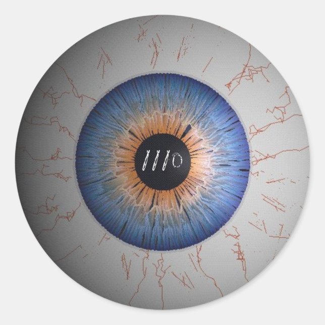 1110 HELMET STICKER (Front)