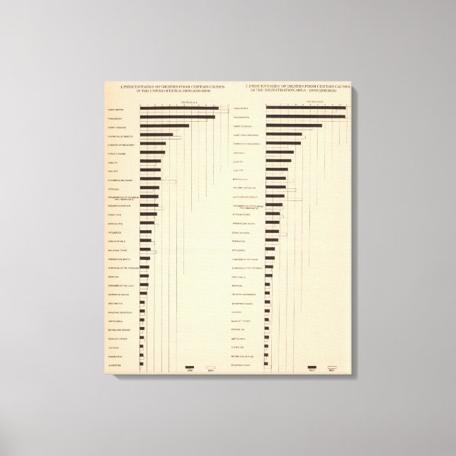 112 Death rates, causes 1900, 1890 Canvas Print (Front)