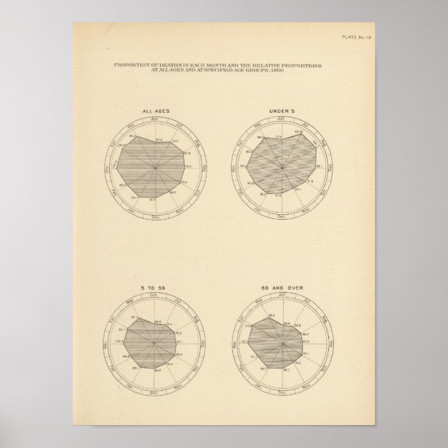113 Deaths by month 1900 Poster (Front)