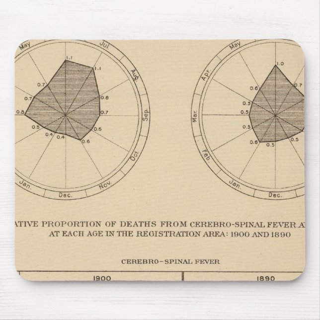 118 Deaths cerebrospinal fever Mouse Pad (Front)