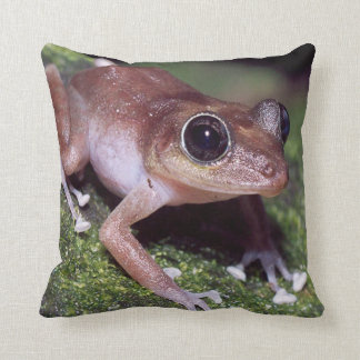 #11-female tree frog cushion