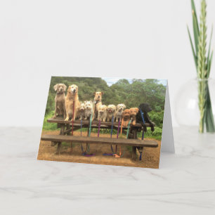 11 Pups in a Row "Say Cheese" - Greeting Card