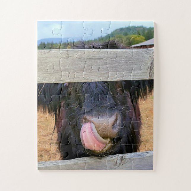 11”x14” Puzzle 30 pc Easy || Scottish Highland Cow (Vertical)