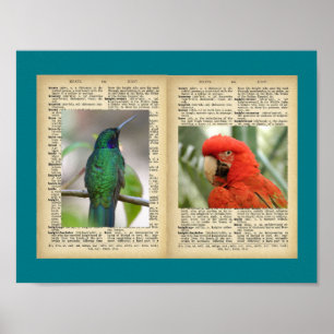 11" x 8.5", Poster (Bird And Text Vintage Designs)