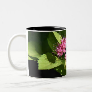 11oz Two Tone Coffee Mug by Pure Photography