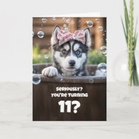 11th Birthday Cute and Funny Husky in a Tub