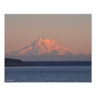 11X14 Mount Rainier and Nisqually Reach Photo Print