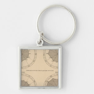 122 Deaths diseases nervous & circulatory system Key Ring