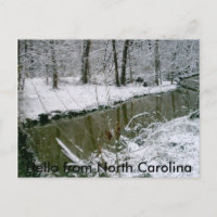124, Hello from North Carolina