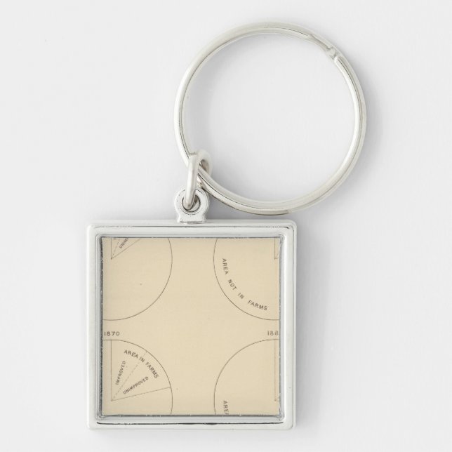 127 Proportion areas in farms Key Ring (Front)