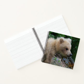 128's Littlest Cub - Notebook