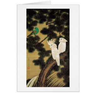 12. 老松鸚鵡図, 若冲 Pine-tree & Parrot, Jakuchū