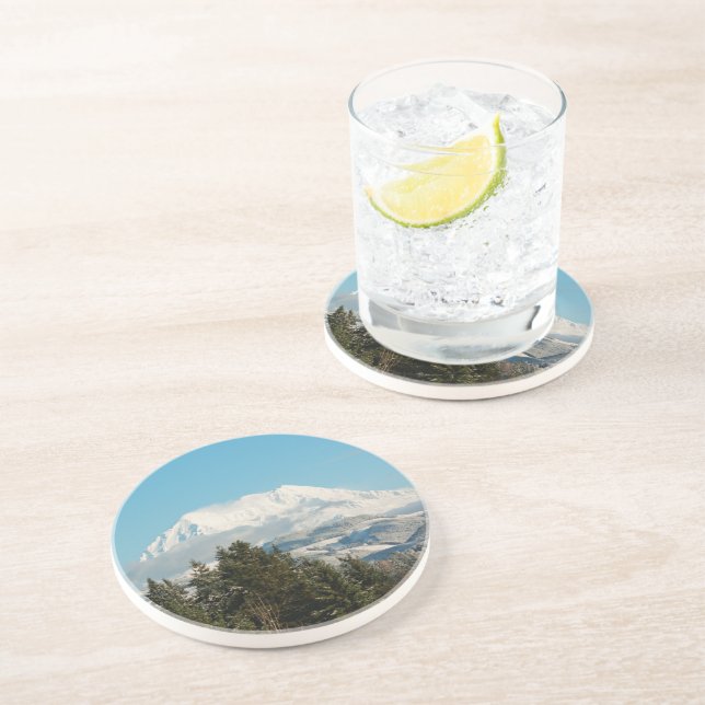 12/22/2014 COASTER (Side)