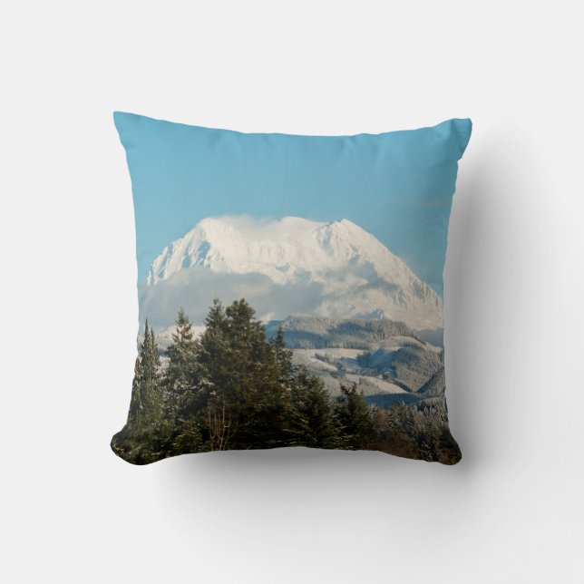 12/22/2014 CUSHION (Front)