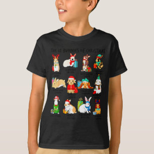 12 Bunny Of Christmas Bunny Rabbit Christmas Xmas T-Shirt