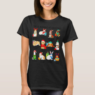 12 Bunny Of Christmas Bunny Rabbit Christmas Xmas T-Shirt